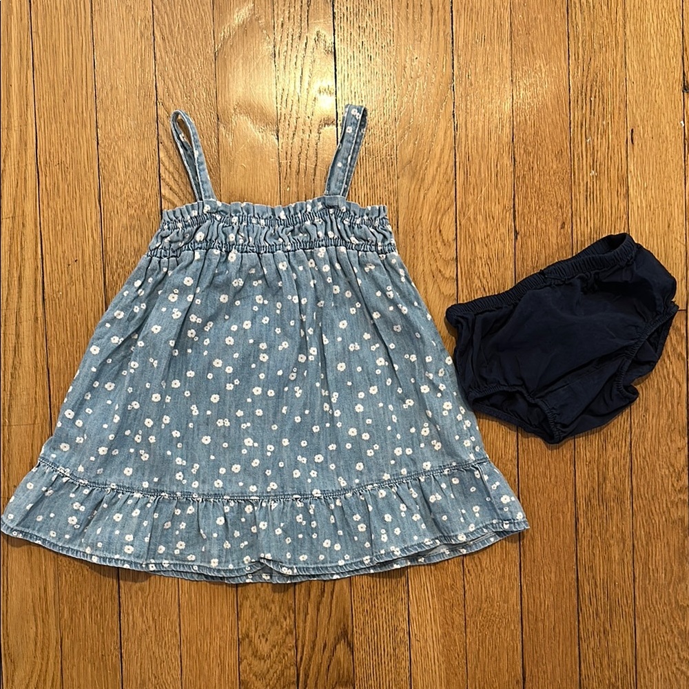 Baby Gap Blue and White Chambray Floral Dress with Diaper Cover